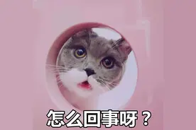 厦门一41岁女子肚子大如孕妇，以为中年发福！医生一查，惊了……图片