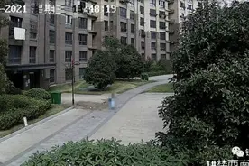安徽警方通报！34层高空抛花盆的她被抓了图片
