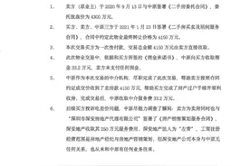 深圳4000万顶豪“吃差价”疑云图片