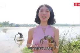 重阳节怎么过？来益阳登高“辞青”吃螃蟹图片