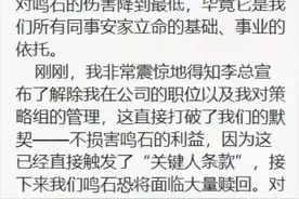 “大量赎回”将至？量化冠军鸣石掀内讧，大幅回撤空袭明星量化私募图片