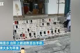 青岛一手机店用数百台手机搭台阶，网友调侃：踩坏了要赔吗图片