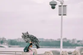 惠声惠色｜台风“圆规”携风带雨，惠州“一夜入秋”图片
