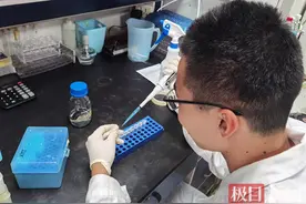 极目快评｜强基计划不是升学跳板，考生要做好甘坐科研“冷板凳”的准备图片