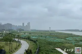 开放时间定了！武汉中心城区又添一处江滩公园图片