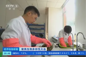 云南昆明有个植物“诺亚方舟”，可让种子存活千年图片