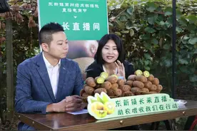 小康圆梦｜镇长带头直播带货 四川古蔺东新镇万亩猕猴桃打开新销路图片