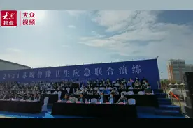 视频丨“我是凯旋号货船船长，请求支援”图片