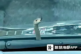 吓人！女子开着车，突然挡风玻璃前冒出一个吐着舌头的头……图片