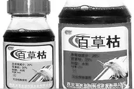 喝下百草枯是不是只能等死了？昆明市儿童医院告诉你图片