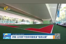 省会新观察丨济南：立交桥下空间华丽变身“低线公园”图片