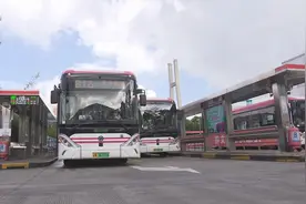 816路停运，徐闵线接棒！市民出行会受影响吗？图片