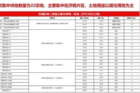 济南首次举办土地推介会，10月底将迎115宗土地图片