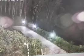 小象和妈妈走散，凌晨独自去了西双版纳一高速路收费站图片