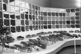 65年前，广交会最受欢迎的商品是什么？图片