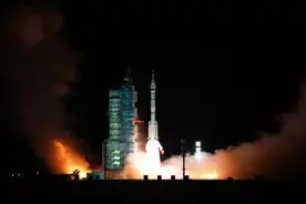 上天入海，它们有一个共同的名字图片