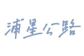开车去海边！奉贤绝美自驾公路，沿着这条路可以从头玩到尾图片
