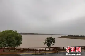 「母亲河畔的中国」从脏乱差到鸟类家园 黄河滩地公园是如何做到的？图片