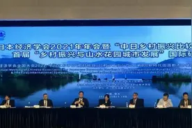 亚洲4国专家浙江丽水学术研讨：互鉴经验促乡村振兴图片