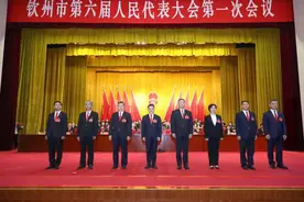 “一府一委两院”领导选举产生 王雄昌当选钦州市市长图片