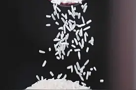 “玉针香”：湘米振兴的功臣图片