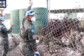 高标准提前完工 我维和部队获赞干得漂亮图片