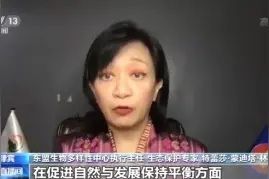 外国专家点赞云南大象“回家之旅”：人象共生的经验学习了图片