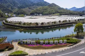 尽力而为 量力而行——共同富裕先行示范系列谈图片