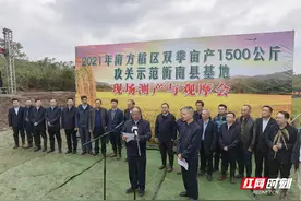1603.9公斤！袁隆平团队研发的杂交水稻亩产再创世界纪录图片