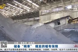 “速冻”模式开启，济南热力集团开足马力储备煤炭，确保温暖过冬视频封面