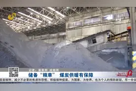 “速冻”模式开启，济南热力集团开足马力储备煤炭，确保温暖过冬视频封面