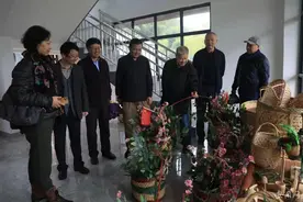 安徽省鲁彦周研究会开展“乡村振兴看庐江”采风图片