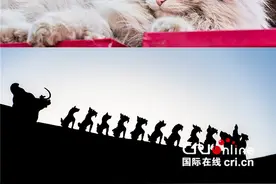 知道风物 ∣ 站在屋顶唱歌的动物们图片