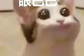 事业编！深圳10区事业单位公开招聘431人！图片