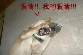 被比远光灯更刺眼的电子警察闪到过眼睛吗？上海老司机，好消息来了图片