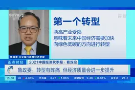 “能源保供”意味着什么？专家：转型有阵痛，但经济质量会进一步提升视频封面