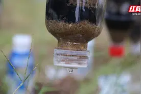 自然界中如何取水，这门野外生存课太有必要了图片