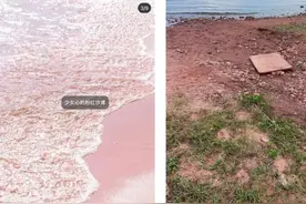 为“滤镜景点”致歉，“种草”平台莫负用户信任 | 快评图片
