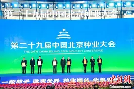 中国北京种业大会开幕 发布“全国杰出贡献玉米自交系”名单图片