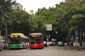 下渡路柠檬茶争霸图片
