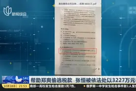 帮助郑爽偷逃税款  张恒被依法处以3227万元罚款视频封面