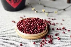 都是“红色豆”，食用药用要分清图片