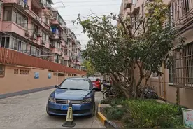 规范停车、修剪绿化、整治楼道 ……多管齐下，宝山老小区终焕新颜！图片