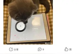 快递业信息泄露再调查：下单当天，你的信息可能已被卖给电诈分子图片