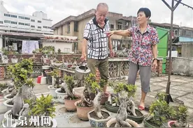 耄耋老人钻石婚 携手前行幸福伴图片