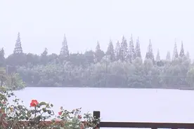 城乡人居环境大提升，崇明越来越美了！视频封面