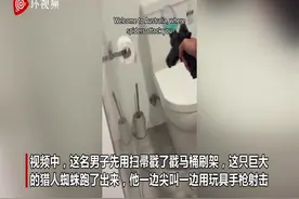 澳大利亚居民家中出现巨大猎人蜘蛛 男子用玩具手枪射击图片