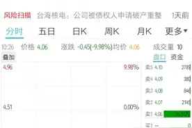 被申请破产重整，存终止上市风险，台海核电跌停图片