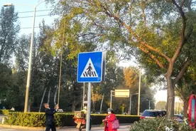 顺义｜粗鲁！一男子在顺平辅线棍打槐树图片