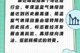 涨知识：什么是碳达峰和碳中和？中国将用最短时间实现碳中和图片